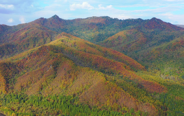 鐵力五花山色