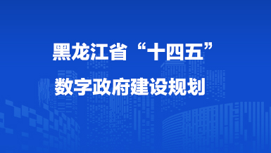 黑龍江省“十四五”數(shù)字政府建設規(guī)劃