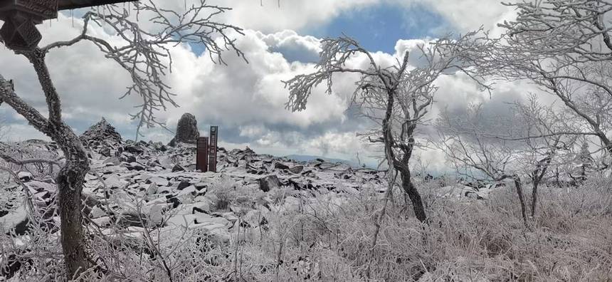 五花山披銀裝 黑龍江鳳凰山迎初雪