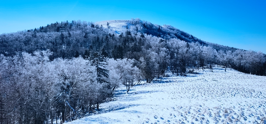 黑龍江亞雪公路迎入秋最大降雪?冰雪畫廊一步一景