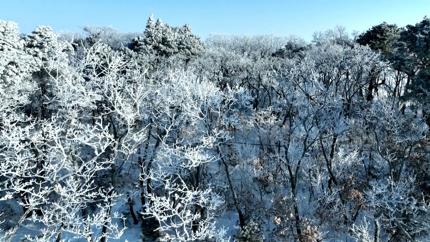 黑龍江興凱湖現(xiàn)霧凇奇觀