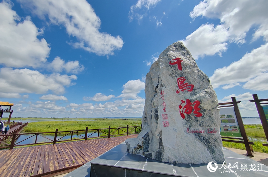 黑龍江千鳥湖：優(yōu)質(zhì)生態(tài)成就“鳥類天堂”