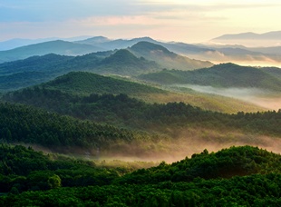 《峰巒疊嶂》連金梅