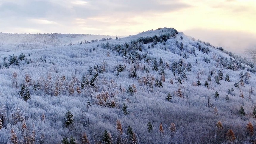 黑龍江漠河：冷空氣帶來降雪 秋冬兩季美景同現(xiàn)