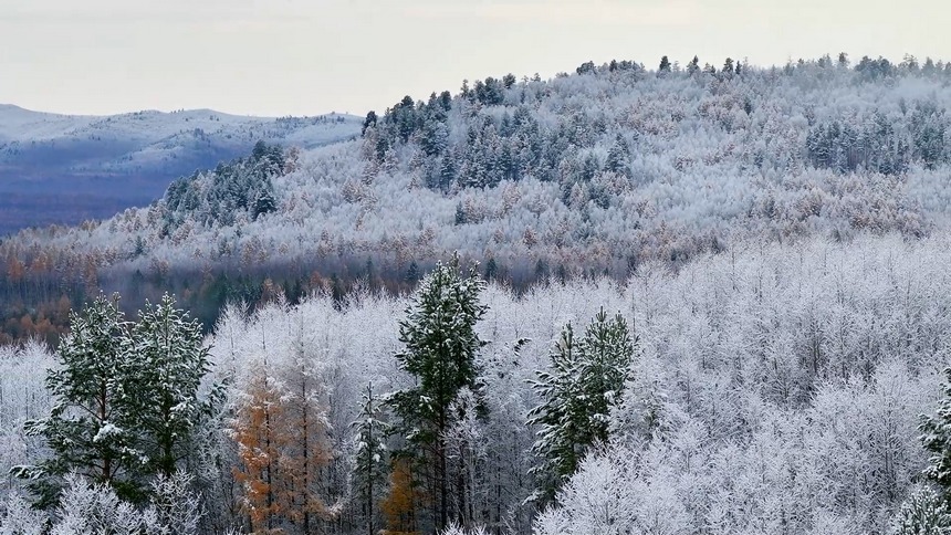 黑龍江漠河：冷空氣帶來降雪 秋冬兩季美景同現(xiàn)