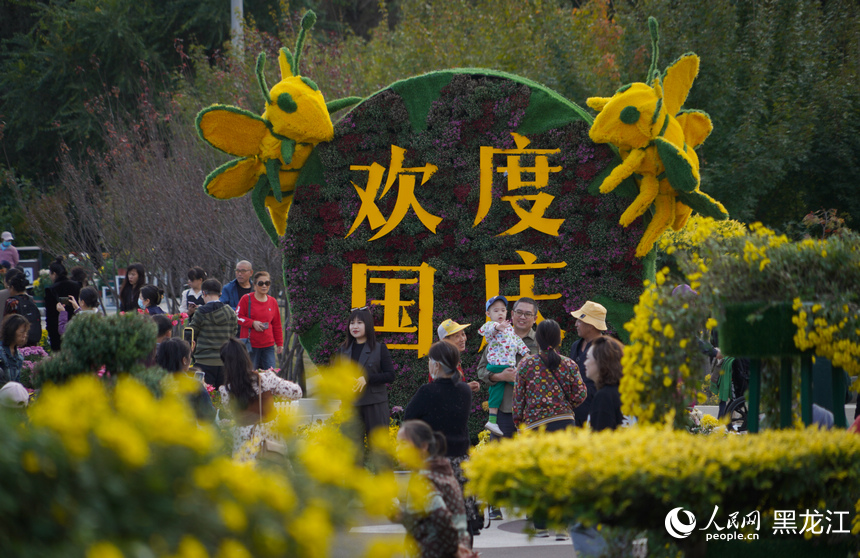 國慶期間，在哈爾濱市香坊區(qū)勞動公園內，市民們賞菊花，迎國慶。人民網(wǎng)記者 蘇靖剛攝