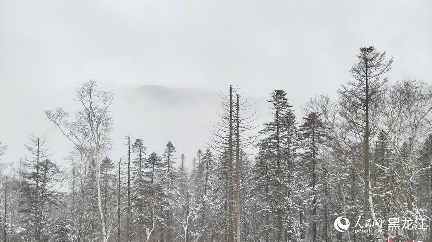 中國(guó)雪鄉(xiāng)景區(qū)迎來(lái)今秋首場(chǎng)降雪